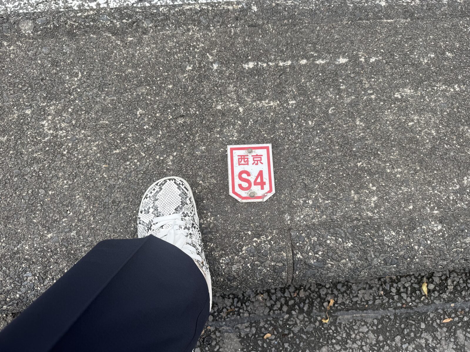 アスファルトに埋め込まれた赤い「西京 S4」のプレート
