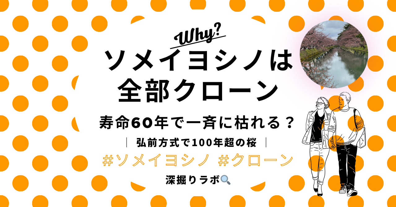 ソメイヨシノは全部クローン──寿命60年説と"絶滅説"の真相