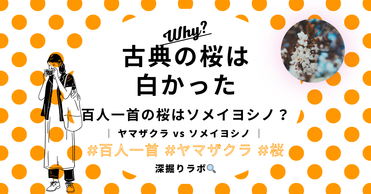古典の桜は白かった──現代人が思い浮かべる桜と百人一首の桜は別物